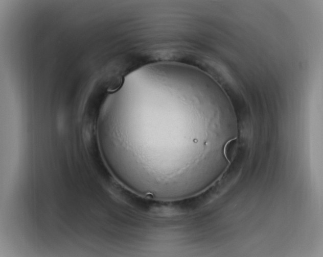 X0000116150503200911231334