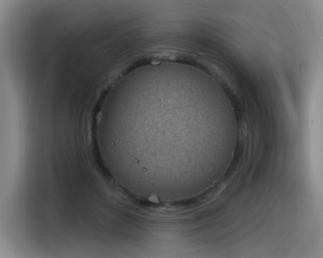 X0000116150504200911231334