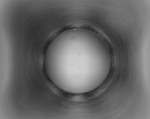 X0000116150505200911231334