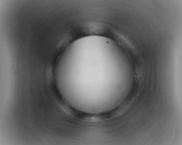 X0000116150506200911231334