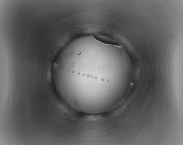 X0000116150508200911231334