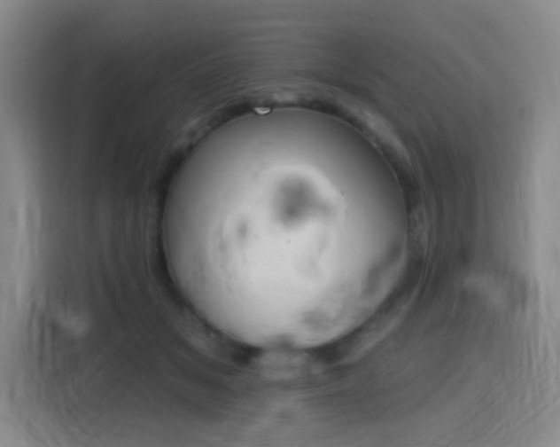 X0000116150509200911231334