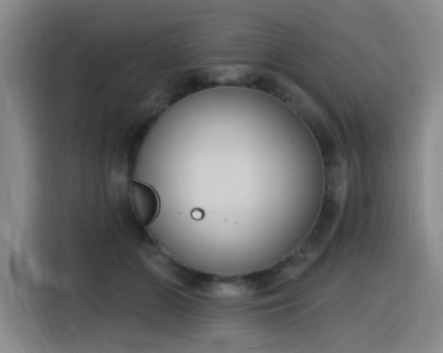 X0000116150510200911231334