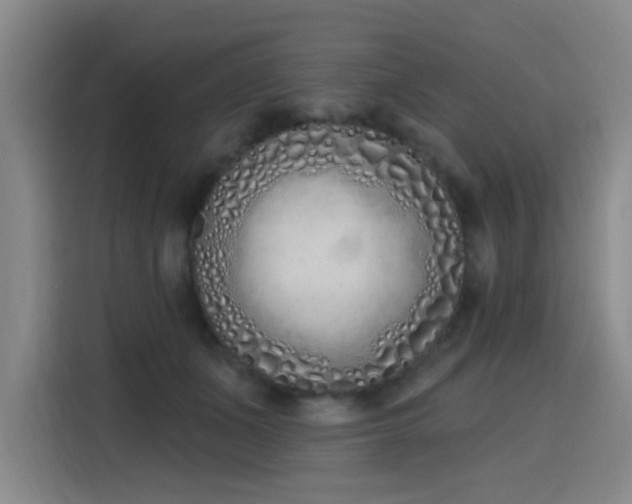 X0000116150511200911231334