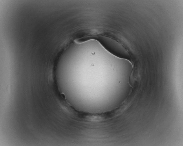 X0000116150512200911231334