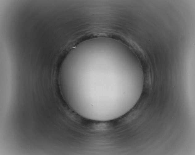 X0000116150513200911231334