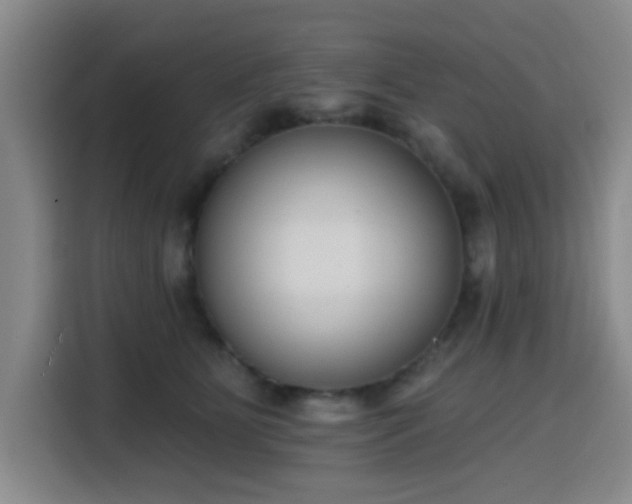 X0000116150515200911231334