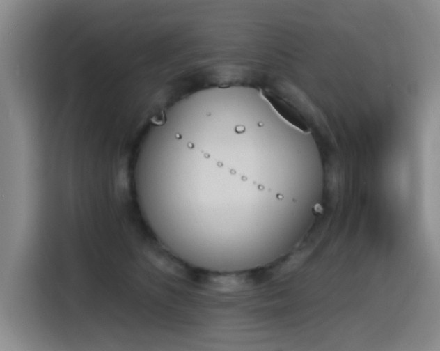 X0000116150516200911231334