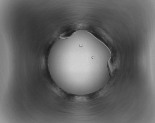 X0000116150520200911231334