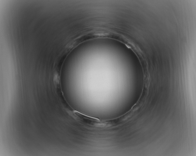 X0000116150521200911231334