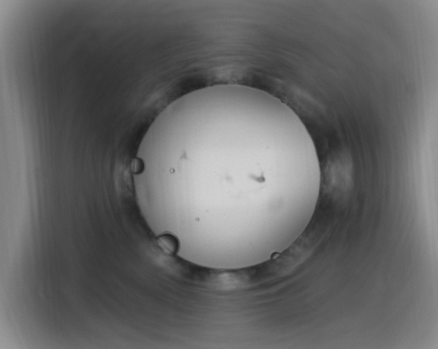 X0000116150522200911231334