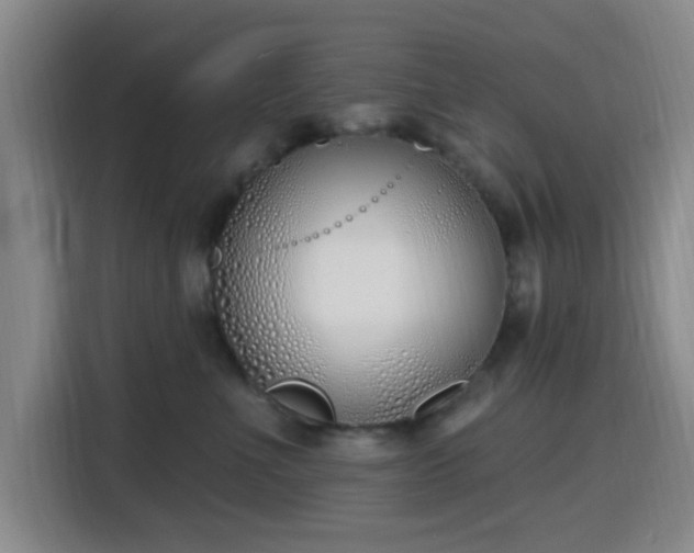 X0000116150523200911231334