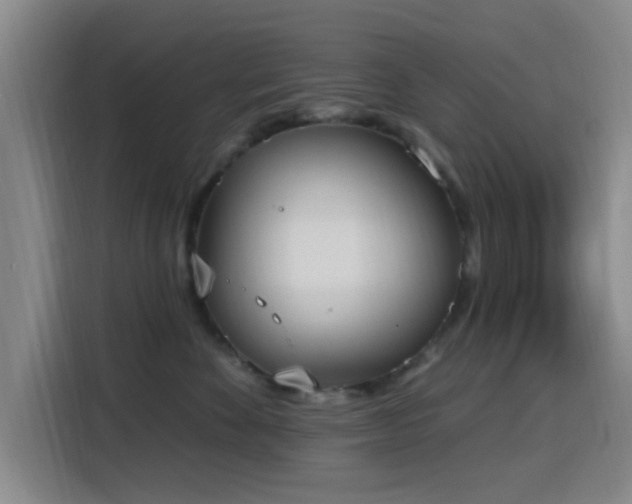 X0000116150524200911231334