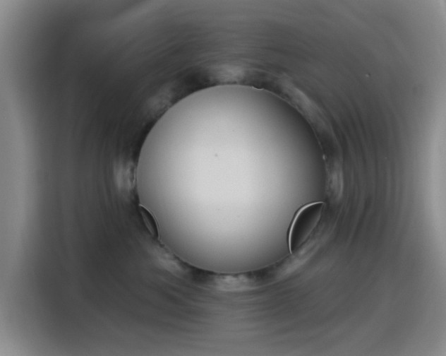 X0000116150525200911231334