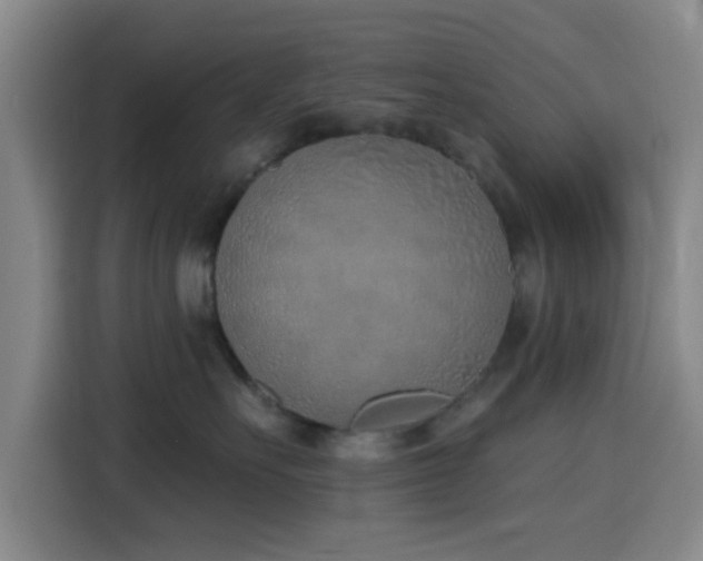 X0000116150527200911231334