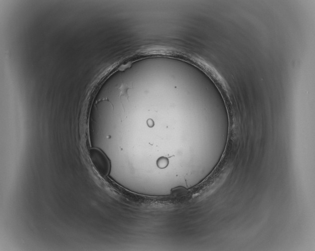 X0000116150529200911231333