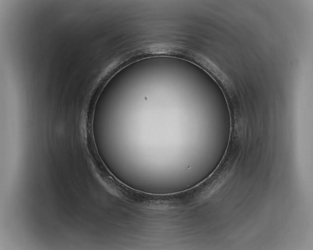 X0000116150530200911231333