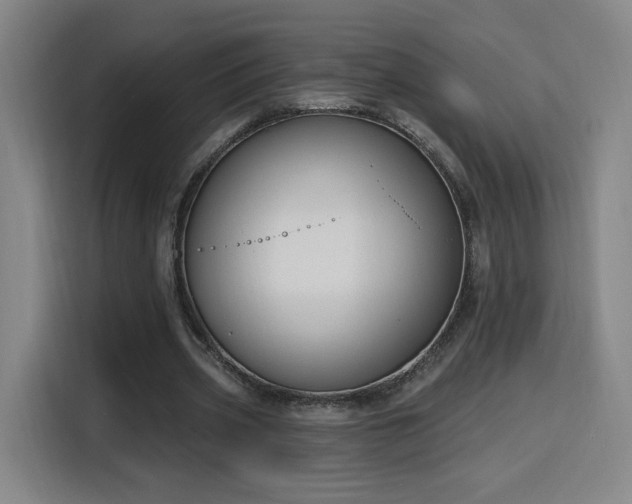 X0000116150533200911231333