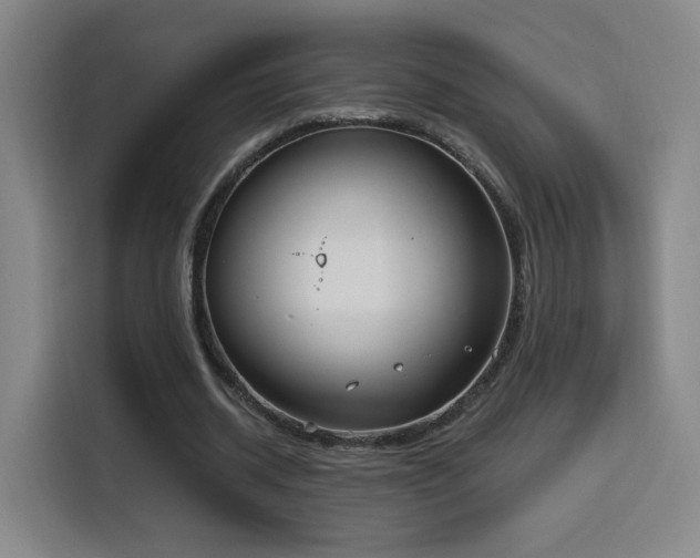 X0000116150534200911231333