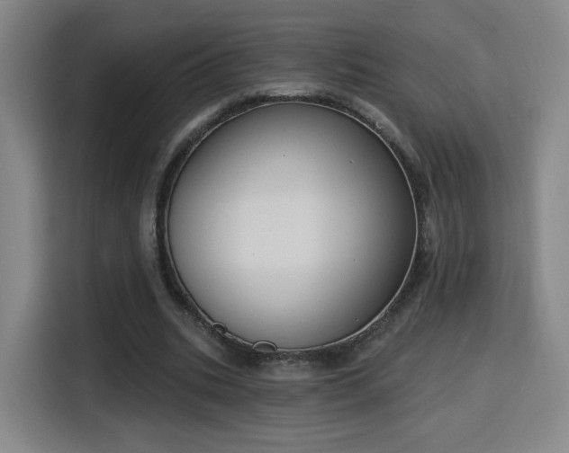 X0000116150535200911231333