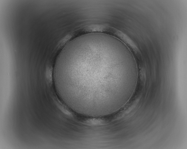 X0000116150537200911231333