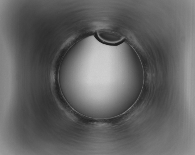 X0000116150539200911231333