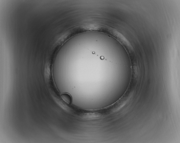 X0000116150541200911231333