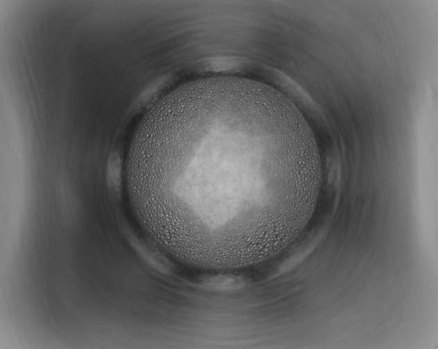 X0000116150542200911231333