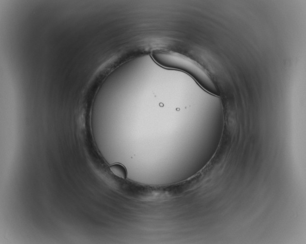 X0000116150543200911231333