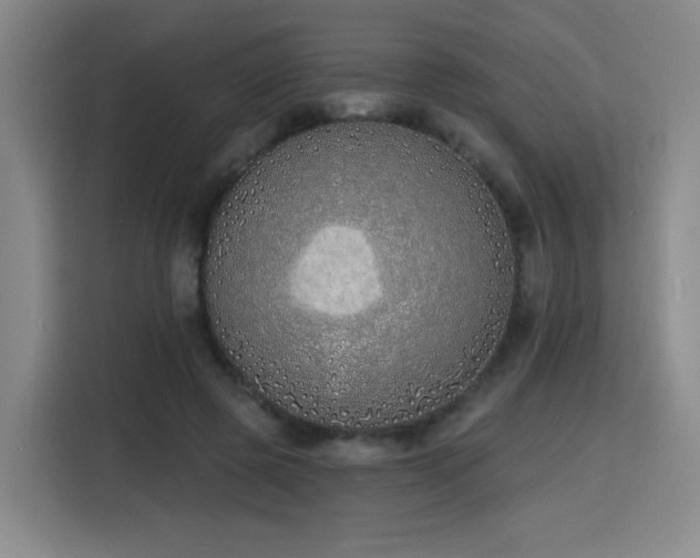 X0000116150545200911231333