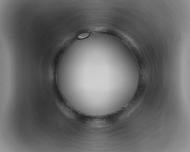 X0000116150546200911231333