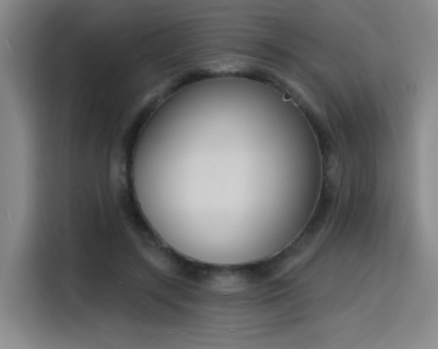 X0000116150547200911231333