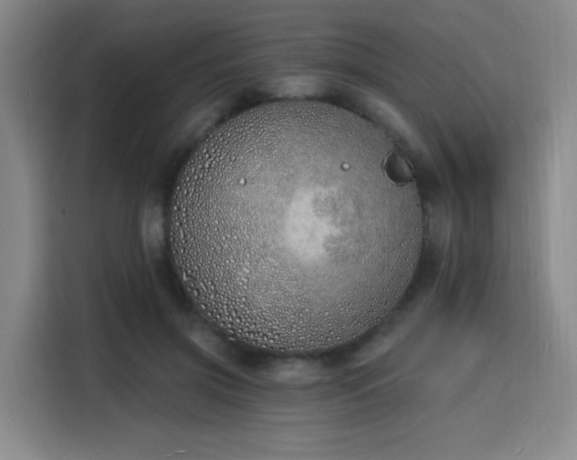 X0000116150549200911231333