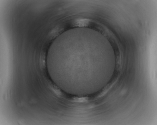 X0000116150553200911231333