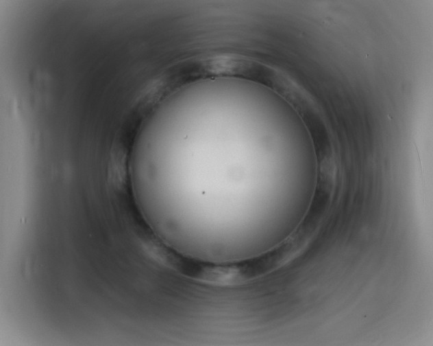 X0000116150554200911231333