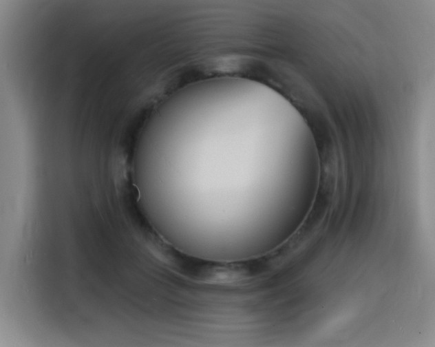 X0000116150555200911231333