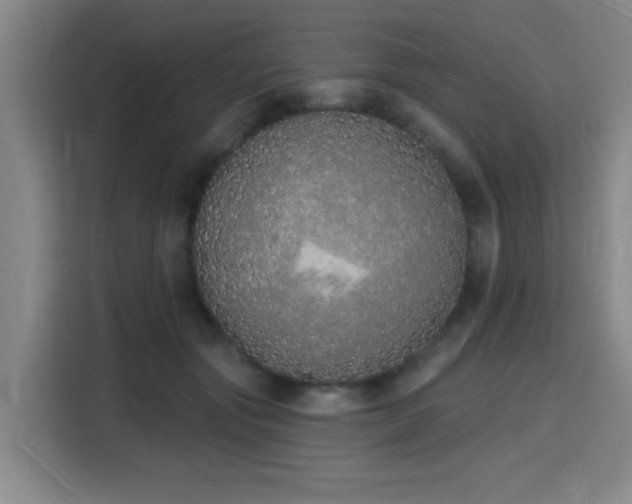 X0000116150557200911231333