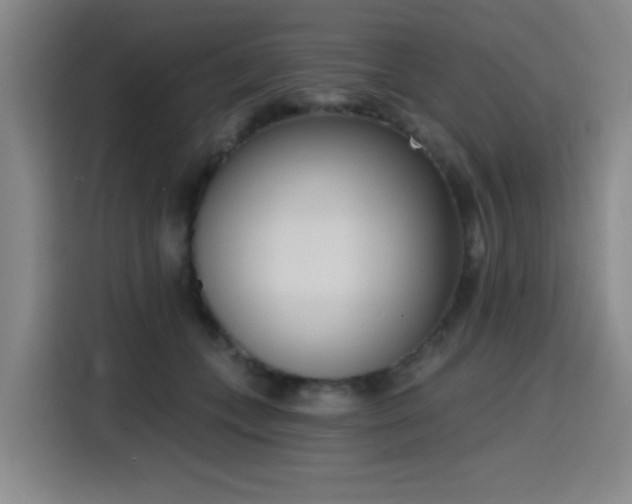 X0000116150559200911231333