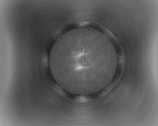 X0000116150565200911231334