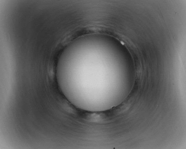 X0000116150566200911231334