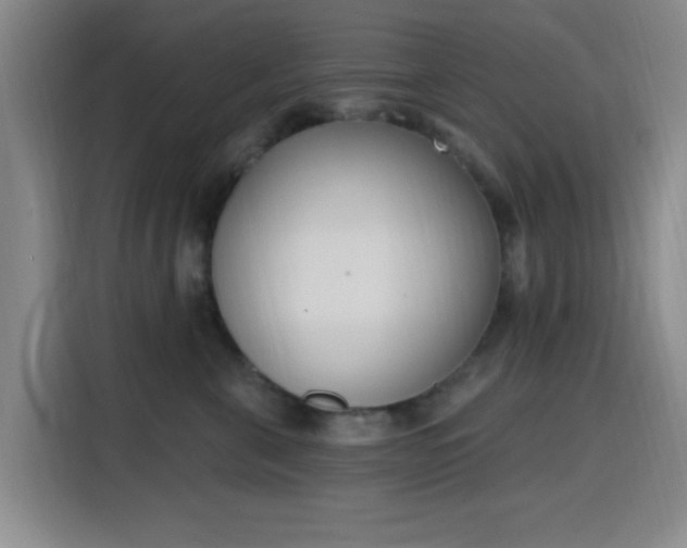 X0000116150571200911231334