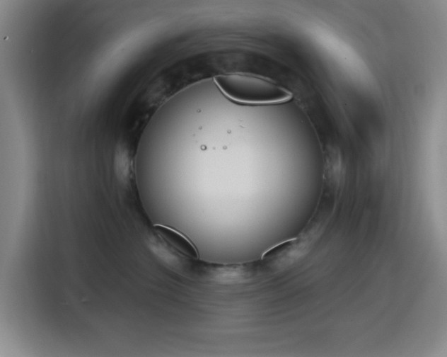 X0000116150574200911231334