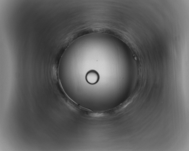 X0000116150575200911231334