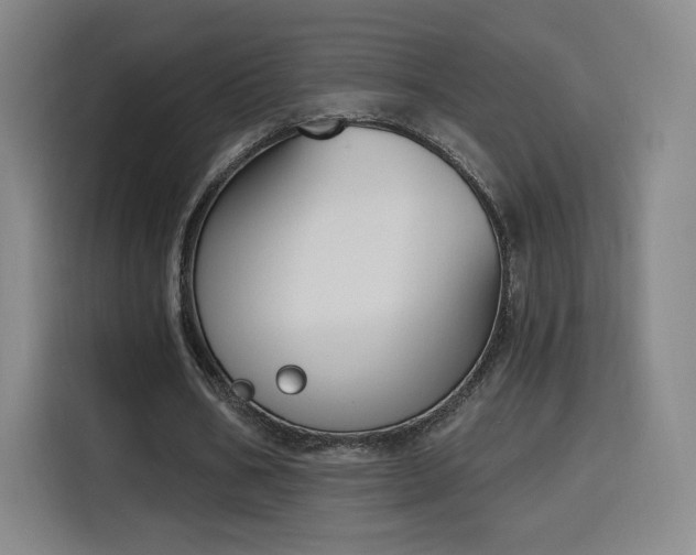 X0000116150578200911231333