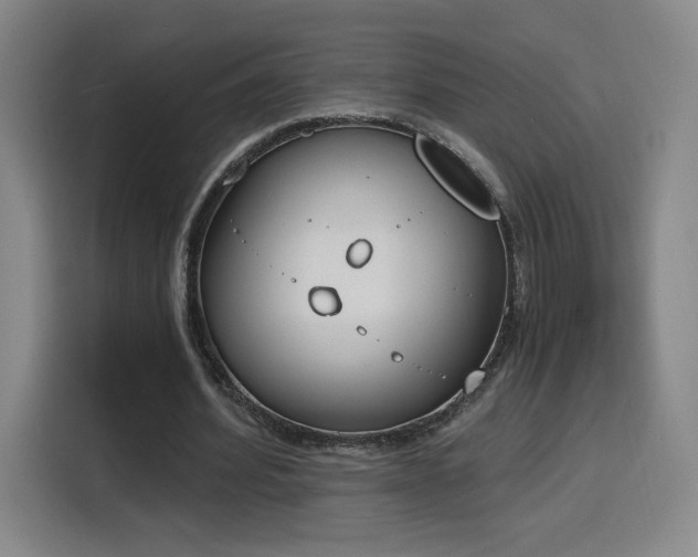 X0000116150580200911231333