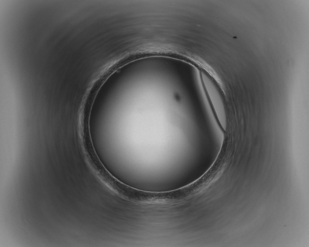 X0000116150581200911231333