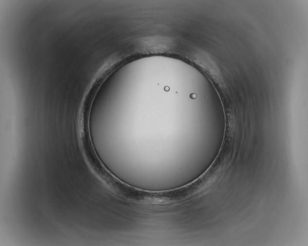 X0000116150582200911231333