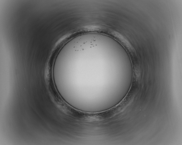 X0000116150583200911231333