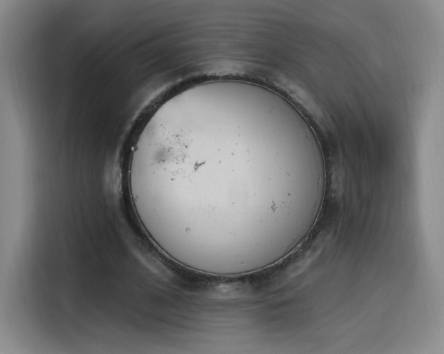 X0000116150584200911231333