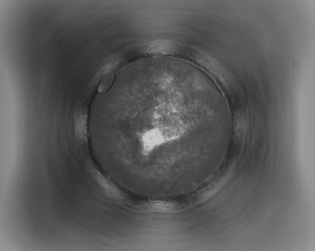 X0000116150585200911231333